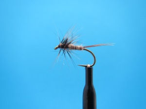 March Brown Wingless